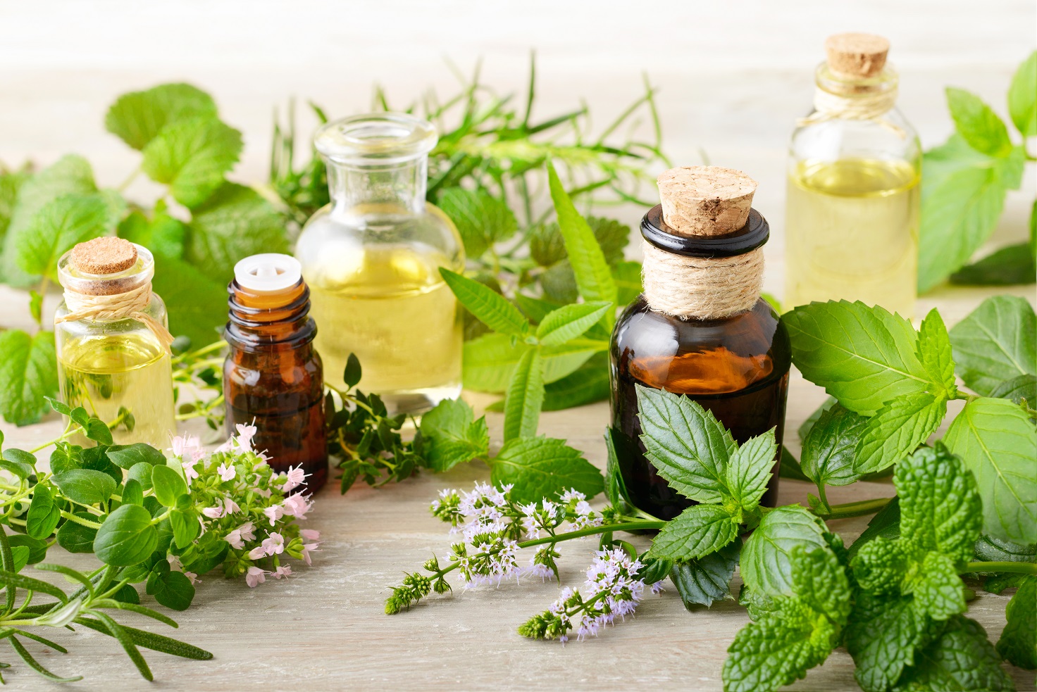 Aromatherapie trifft traditionelle Naturheilkunde